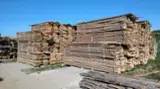Beech Unedged Timber - Boules - Beech a unedged lumber 32;55 mm * 3000;4000 mm air dry 30-60 m3 / month from Poland