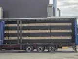 Encontre as melhores matérias-primas de madeira na Fordaq - SEZAR FOREST SRL - Compensado (plywood) Anti-derrapante