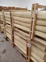 Compra madera en Fordaq - Ver demandas de madera en Fordaq - Acacia postes 6-40 cm 500 m3 / mes