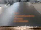 Anti Slip Plywood for sale - Anti-Slip/Smooth Film Faced Plywood
