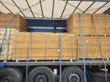 Encontre as melhores matérias-primas de madeira na Fordaq - SEZAR FOREST SRL - Mm Faia folheados de corte rotativo 30-300 m2 / única entrega