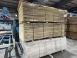Trouvez tous les produits bois sur Fordaq - SEZAR FOREST SRL - Mm Hêtre déroulage 30-300 m3 / mois