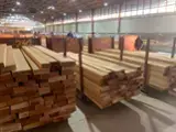 Find best timber supplies on Fordaq - HATY SRL - Beech b 60 mm * 100 + mm * 400 - 3900 mm boards kiln dry 30 m3 / spot - 1 time from Romania
