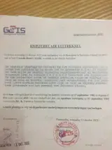 Acceda A Bosques En Venta - Contacta A Los Propietarios. - 600+ ha angelim vermelho bosques en venta en DISTRICT COMMEWIJNE, Surinam