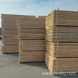 Pine - Scots Pine Sawn Timber - Pine - Scots Pine 50 mm * 150 mm * 3000 - 4000 mm kiln dry 30-150 m3 / month from Poland