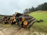 Hardwood  Logs Oak - Oak saw logs 30+ cm 60-200 m3 / spot