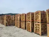 Pellet & Legna - Biomasse - Spezzato Betulla, Aspen, Ontano legna da ardere 50-300 pallets / mese da Polonia
