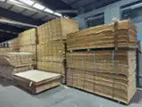 Trouvez tous les produits bois sur Fordaq - SEZAR FOREST SRL - Mm Hêtre déroulage 30-300 m3 / mois