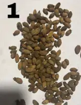 Pellet & Legna - Biomasse - Pellet & Legna - Biomasse