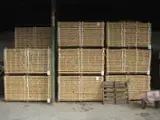 Предприятие Для Продажи - Румыния Пилорама