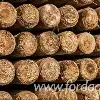 Cele mai noi oferte pentru produse din lemn - Fordaq - IBP Sp. z o.o. - Pin Roșu stâlpi, lemn rotund calibrat 5-14 cm 30-1000 m3 / luna din Polonia