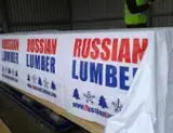 Find best timber supplies on Fordaq - Rusya Ahsap / Russian Lumber - Pine - Red Pine - Redwood 25-75x75-200x3000-6000mm