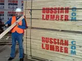 Empleo Forestal - Únase A Fordaq Para Contactar Con Empresas - Turquía