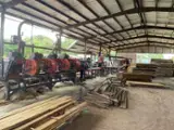 Acceda A Bosques En Venta - Contacta A Los Propietarios. - 600 ha en venta en Zentralamerika und Karibik, República Dominicana