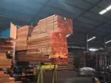 Merbau Sawn Timber - Merbau standard 20-100 mm * 150-500 mm * 2100-4200 mm squares kiln dry 20-1000 m3 / spot from Indonesia