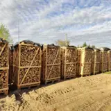 Cleaved-Beech-firewood-21-42-pallet---spot-from