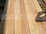 Empleo Forestal - Únase A Fordaq Para Contactar Con Empresas - Turquía