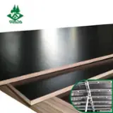 Plywood-%E2%80%93-Siyah-Film