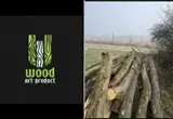 Oak Firewood - Oak firewood mm -- m3 / spot - 1 time