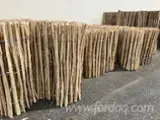 Cele mai noi oferte pentru produse din lemn - Fordaq - IBP Sp. z o.o. - Salcâm Garduri - Paravane