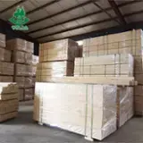 Find best timber supplies on Fordaq - Xuzhou Haohong Wood Products Co., Ltd - Poplar Laminated Veneer Lumber (LVL) Door Core, 9-60 mm Thick