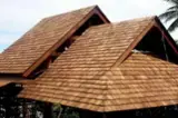 Shakes---Shingles