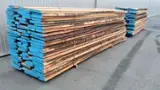 Beech Unedged Timber - Boules - Beech unedged lumber 26-40 mm * 2000 + mm kiln dry 4500 m3 / spot