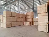 LVL - Laminated Veneer Lumber - LVL, 13 mm Thick 2440 Length in Vietnam