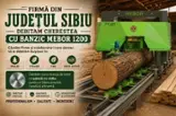 Timber Services - Sawing Services, Romania