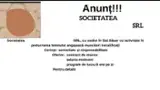 Jobs - Training Periods - Production, Romania