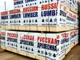 Find best timber supplies on Fordaq - Rusya Ahsap / Russian Lumber - Spruce / Whitewood 22 or 25 mm * 100 mm * 2000-4000 mm boards kiln dry 100-1000 m3