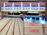 Find best timber supplies on Fordaq - Rusya Ahsap / Russian Lumber - Spruce 32-75 mm * 75-200 mm * 3000-6000 mm kiln dry 100-1000 m3 / month