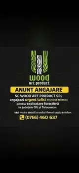 Jobs - Training Periods - Production, Romania