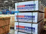 Find best timber supplies on Fordaq - Rusya Ahsap / Russian Lumber - Russian Birch Natural plywood UV or no UV high grades