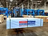 Find best timber supplies on Fordaq - Rusya Ahsap / Russian Lumber - Formwork Film Faced Plywood all plies Russian Birch hardwood veneer