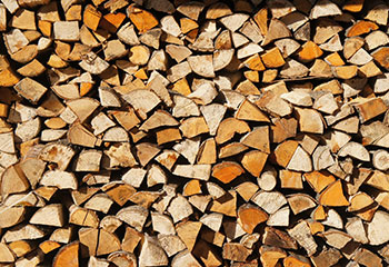 Firewood Cleaved - Not Cleaved