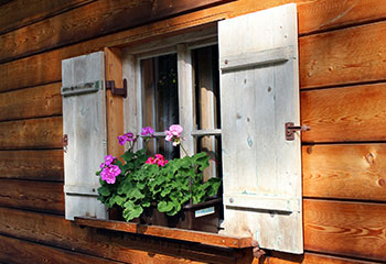 Finished Products (Doors, Windows etc.)
